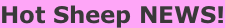 Hot Sheep NEWS!