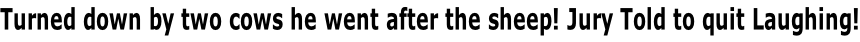 Turned down by two cows he went after the sheep! Jury Told to quit Laughing!