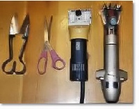 Adult Sheep Finder - Shear Elegance Collection